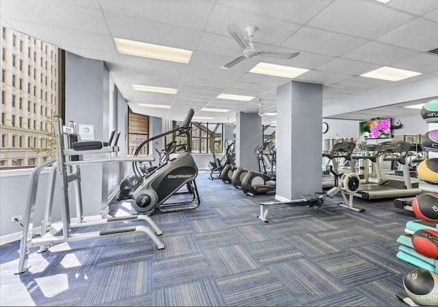 gym with carpet floors, a paneled ceiling, and a ceiling fan