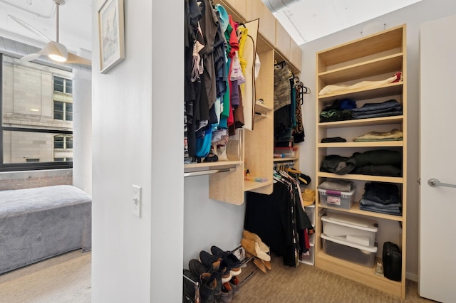 spacious closet featuring carpet floors