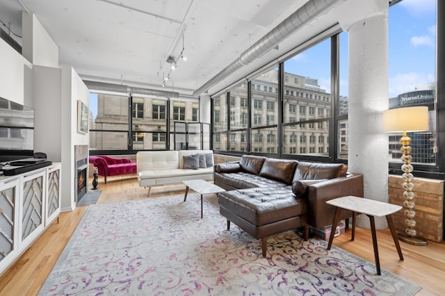 living area with a city view, light wood-style flooring, and track lighting