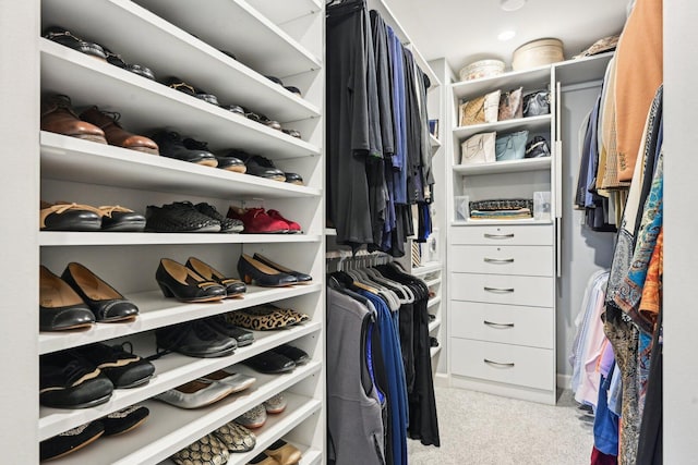 view of spacious closet