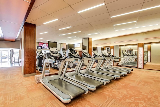 gym with a paneled ceiling and carpet flooring