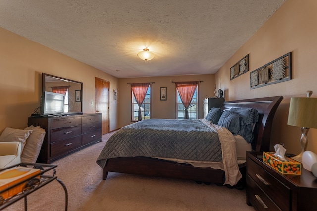 bedroom featuring access to outside, a textured ceiling, and light colored carpet