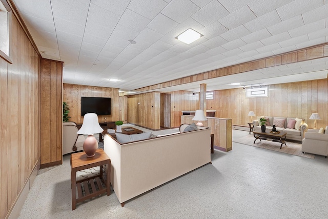 living area with wood walls