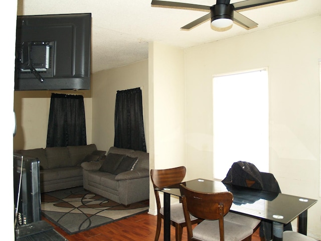 living room featuring a ceiling fan and wood finished floors