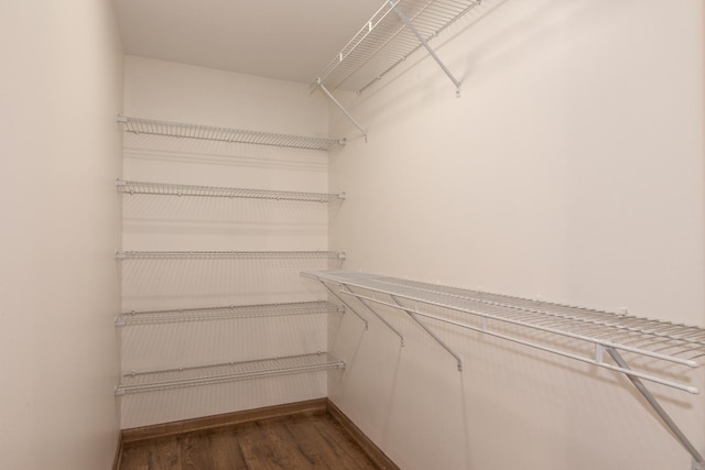 spacious closet with dark wood finished floors