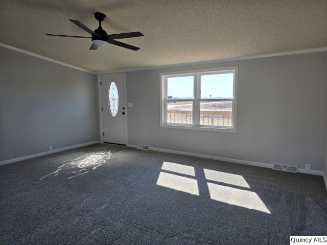 spare room with carpet flooring, crown molding, a textured ceiling, and baseboards