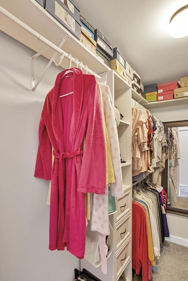 walk in closet featuring carpet floors