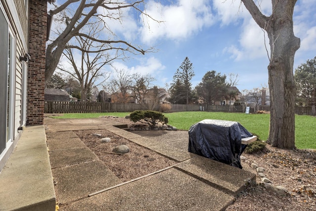 view of yard with a patio area and a fenced backyard