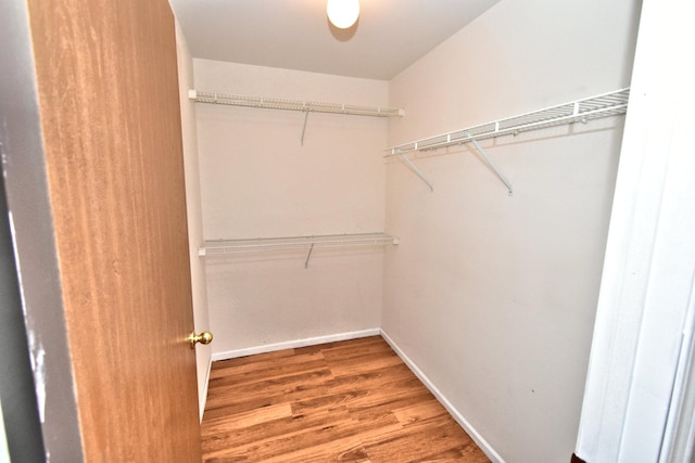 walk in closet with wood finished floors