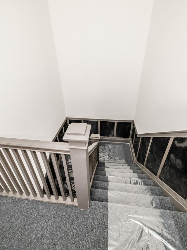 staircase with carpet flooring