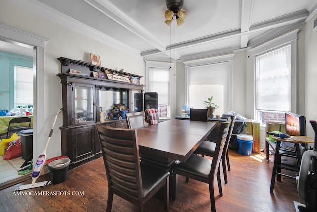 dining room featuring ornamental molding, dark wood finished floors, and a wealth of natural light