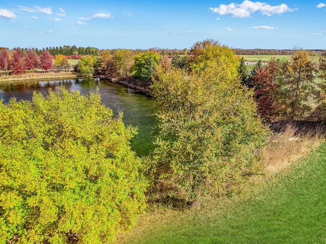 bird's eye view featuring a water view and a wooded view