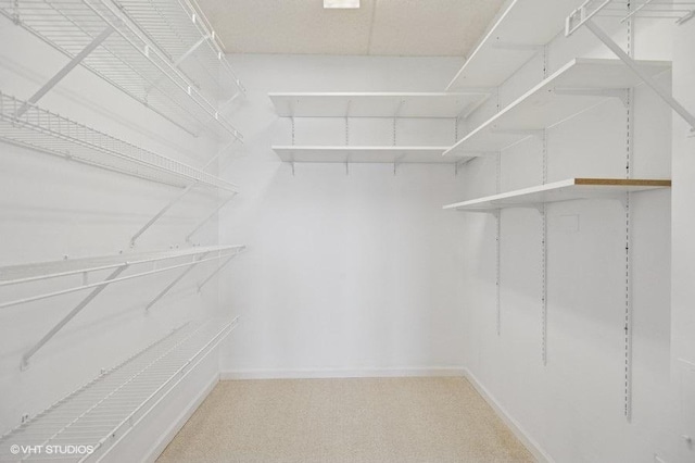 spacious closet featuring light carpet