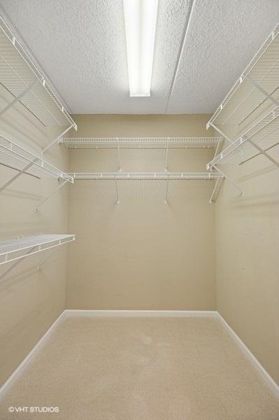 spacious closet featuring carpet flooring