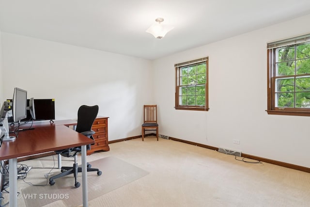 1109 E Gartner Rd, Naperville, IL 60540 - office space featuring light carpet and baseboards