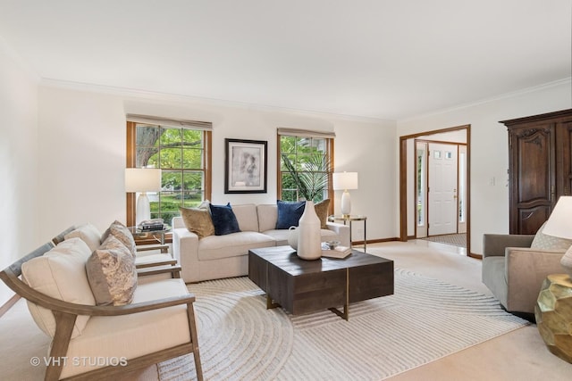 1109 E Gartner Rd, Naperville, IL 60540 - living area featuring light carpet and crown molding
