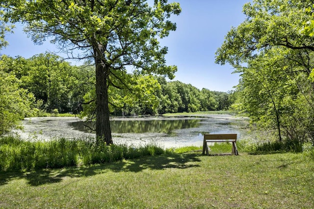 view of water feature featuring a view of trees