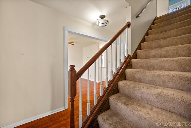 stairs with wood finished floors and baseboards