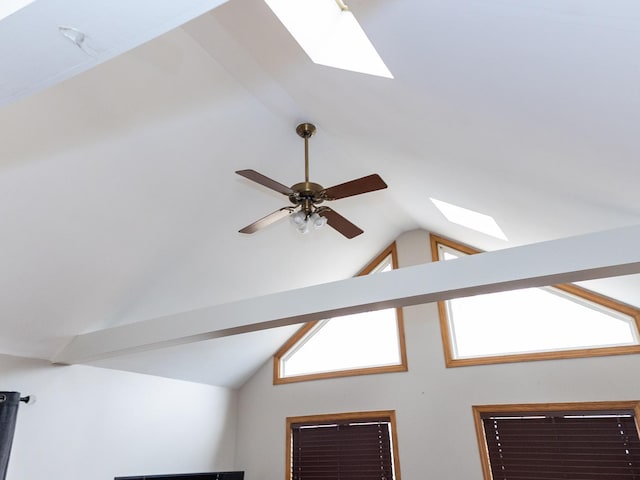 details with ceiling fan