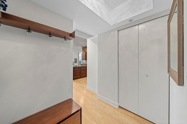 walk in closet with light wood-type flooring