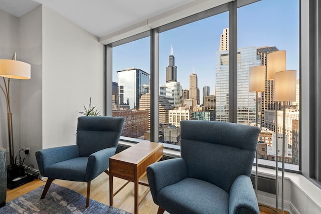 living area featuring a view of city, floor to ceiling windows, and wood finished floors