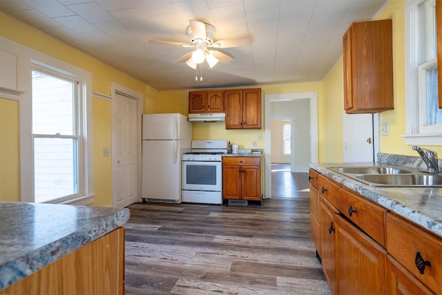 kitchen featuring dark wood-style floors, white appliances, a sink, and under cabinet range hood