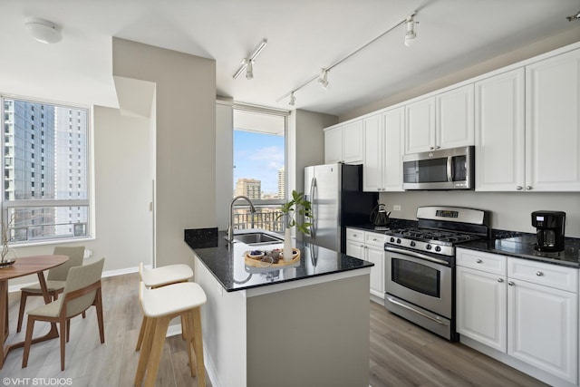 kitchen featuring white cabinets, stainless steel appliances, a sink, and wood finished floors