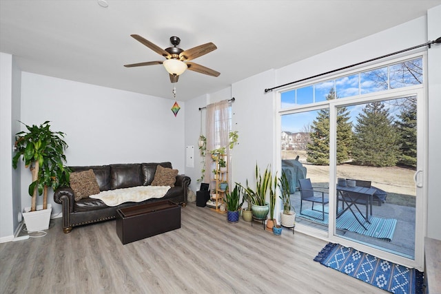 living room featuring a ceiling fan and wood finished floors