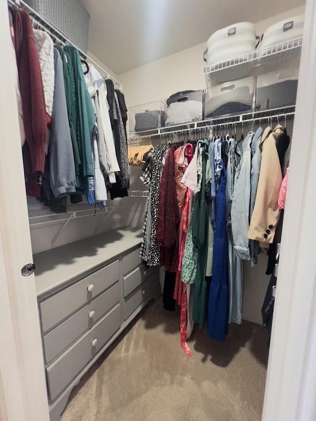 spacious closet featuring carpet flooring