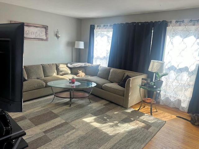 living room featuring wood finished floors