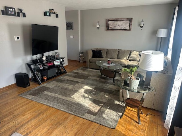 living room featuring wood finished floors