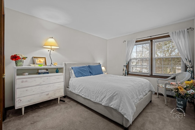 bedroom featuring carpet floors