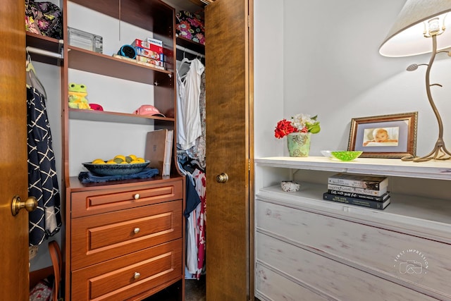 view of walk in closet