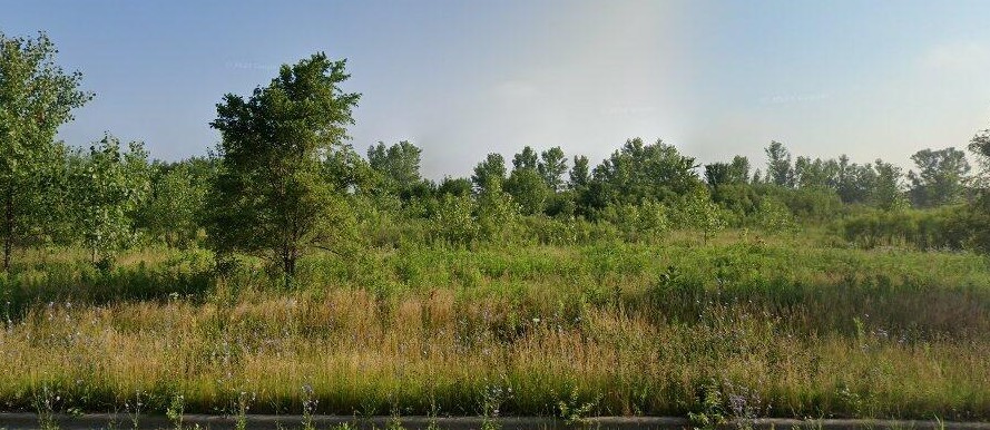 3300 Westwood Ln, Lynwood, IL 60411 - photo 1