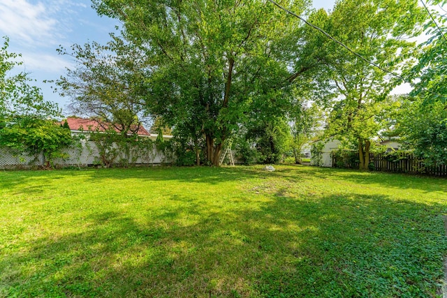 view of yard featuring a fenced backyard