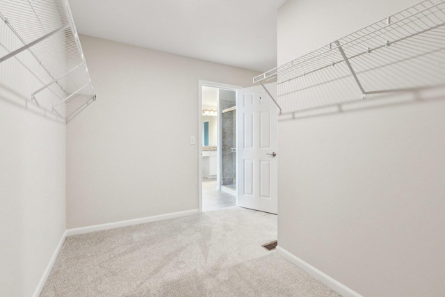 walk in closet featuring carpet