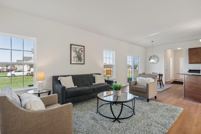 living area with baseboards, plenty of natural light, and light wood-style floors