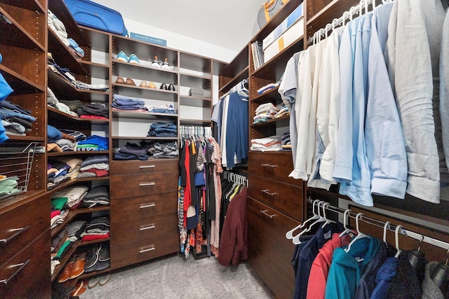 spacious closet with carpet