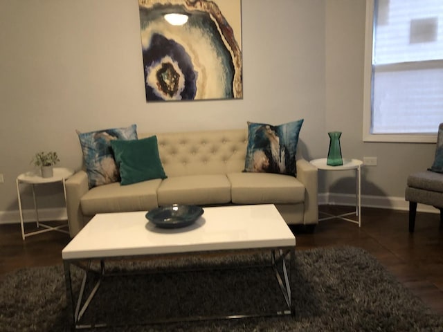 living area featuring baseboards and wood finished floors