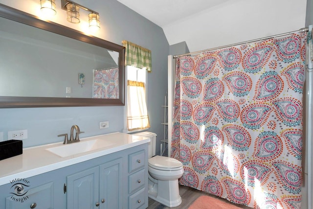 full bathroom featuring curtained shower, vanity, toilet, and wood finished floors