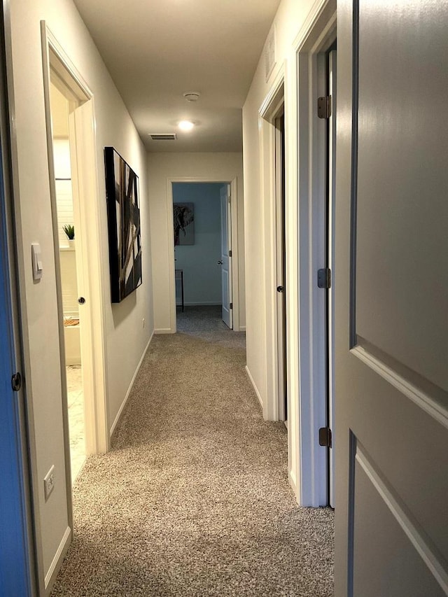 1315 Stonecrop Ln, Joliet, IL 60431 - hallway with carpet floors and baseboards