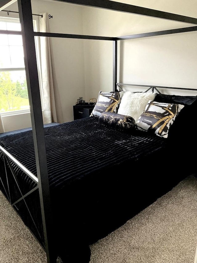 1315 Stonecrop Ln, Joliet, IL 60431 - bedroom featuring carpet floors
