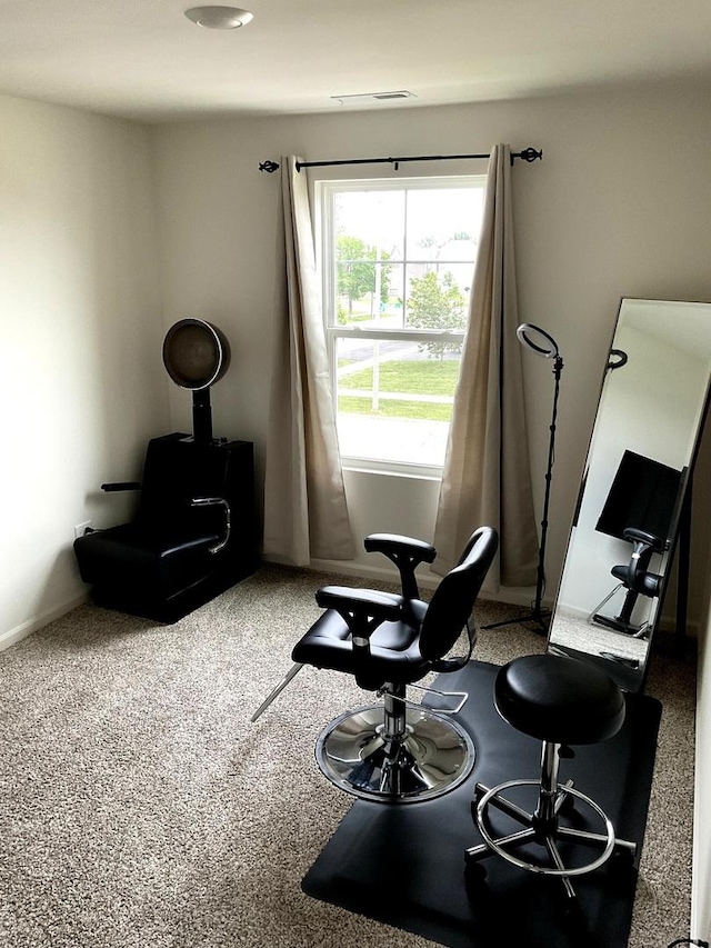 1315 Stonecrop Ln, Joliet, IL 60431 - view of living area