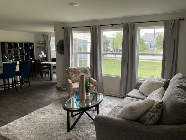 1315 Stonecrop Ln, Joliet, IL 60431 - living area featuring wood finished floors