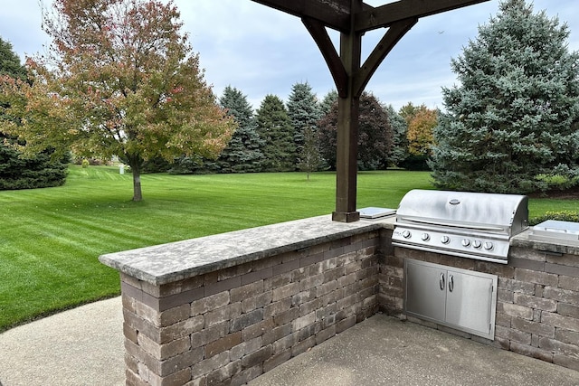 view of patio / terrace with area for grilling and an outdoor kitchen