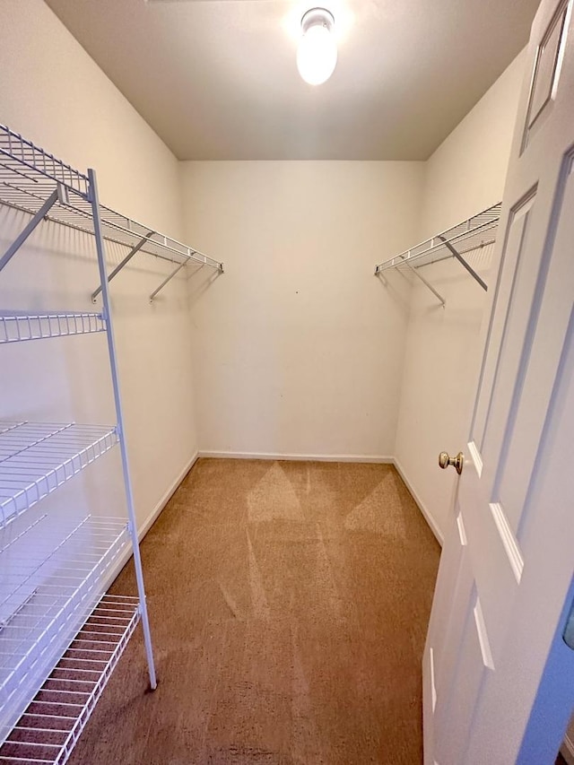 spacious closet with carpet