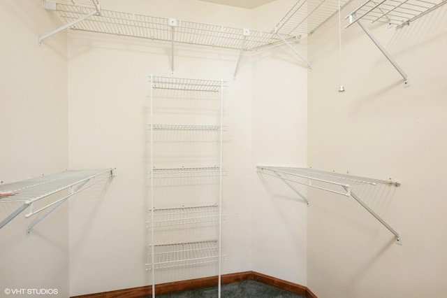 spacious closet featuring carpet floors