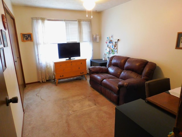 living area with light colored carpet