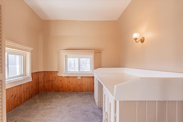 interior space featuring wainscoting, wood walls, and carpet flooring