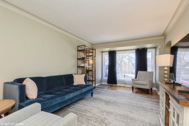 living room with baseboards and wood finished floors